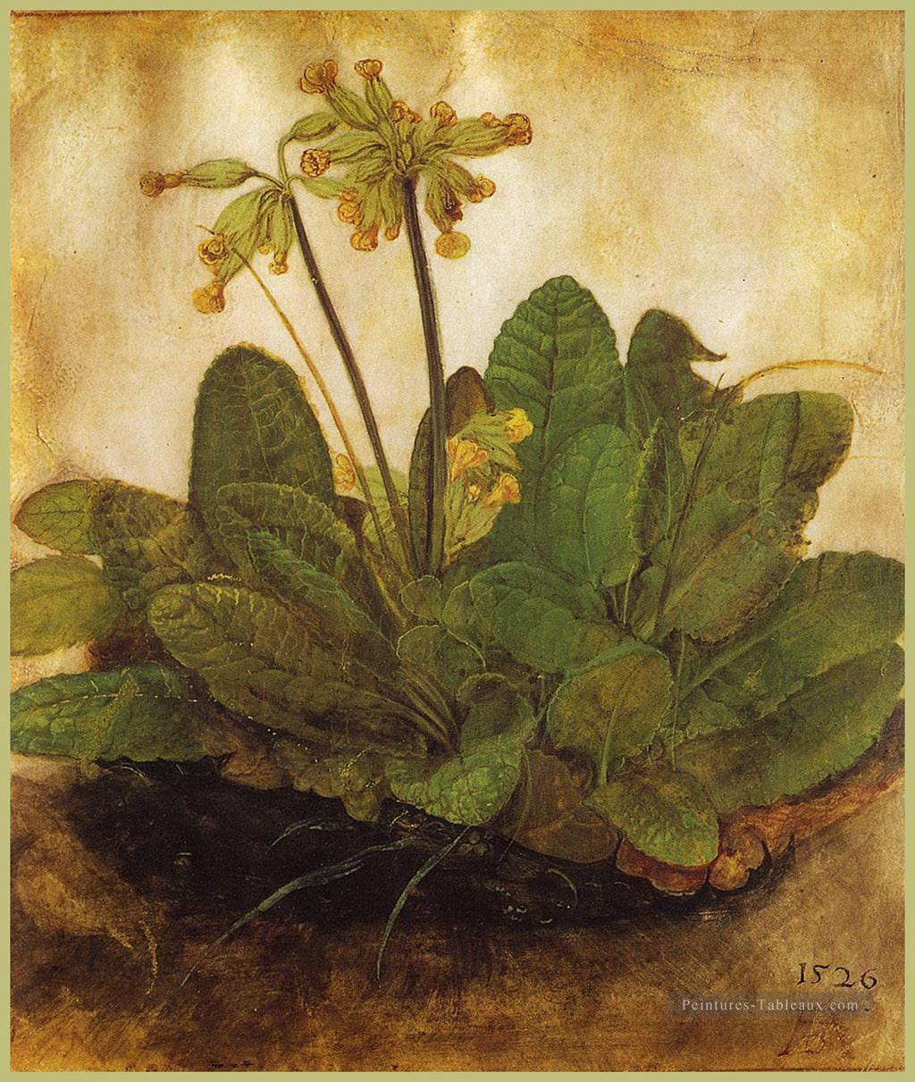 Primula Albrecht Dürer classique fleurs Peintures à l'huile